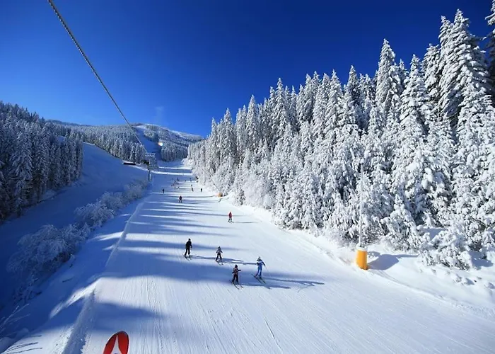 Host2u Penthouse Sauna, Jacuzzi, Fireplace דירה בנסקו